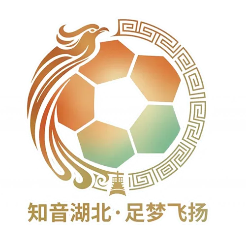 湖北省城市足球联赛 荆门金龙泉队VS十堰武当队20260927