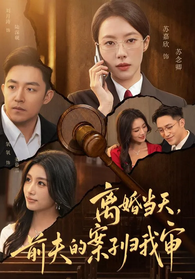 离婚当天，前夫的案子归我审